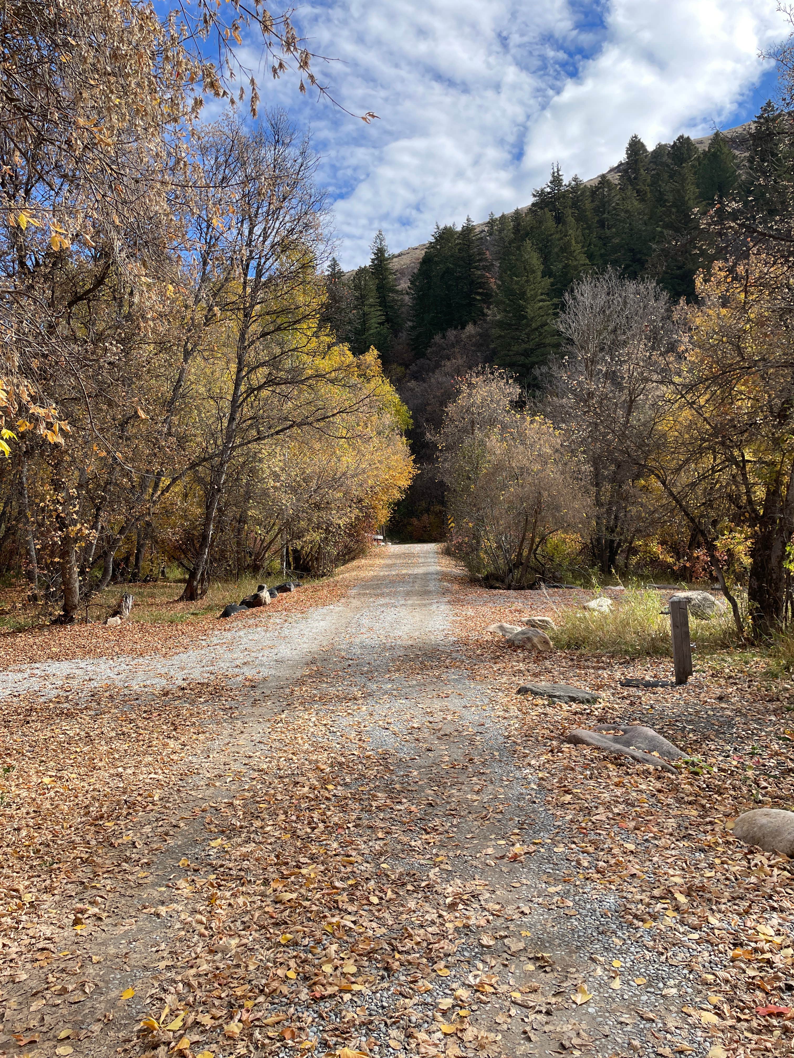 Camper submitted image from Albert Moser - 4