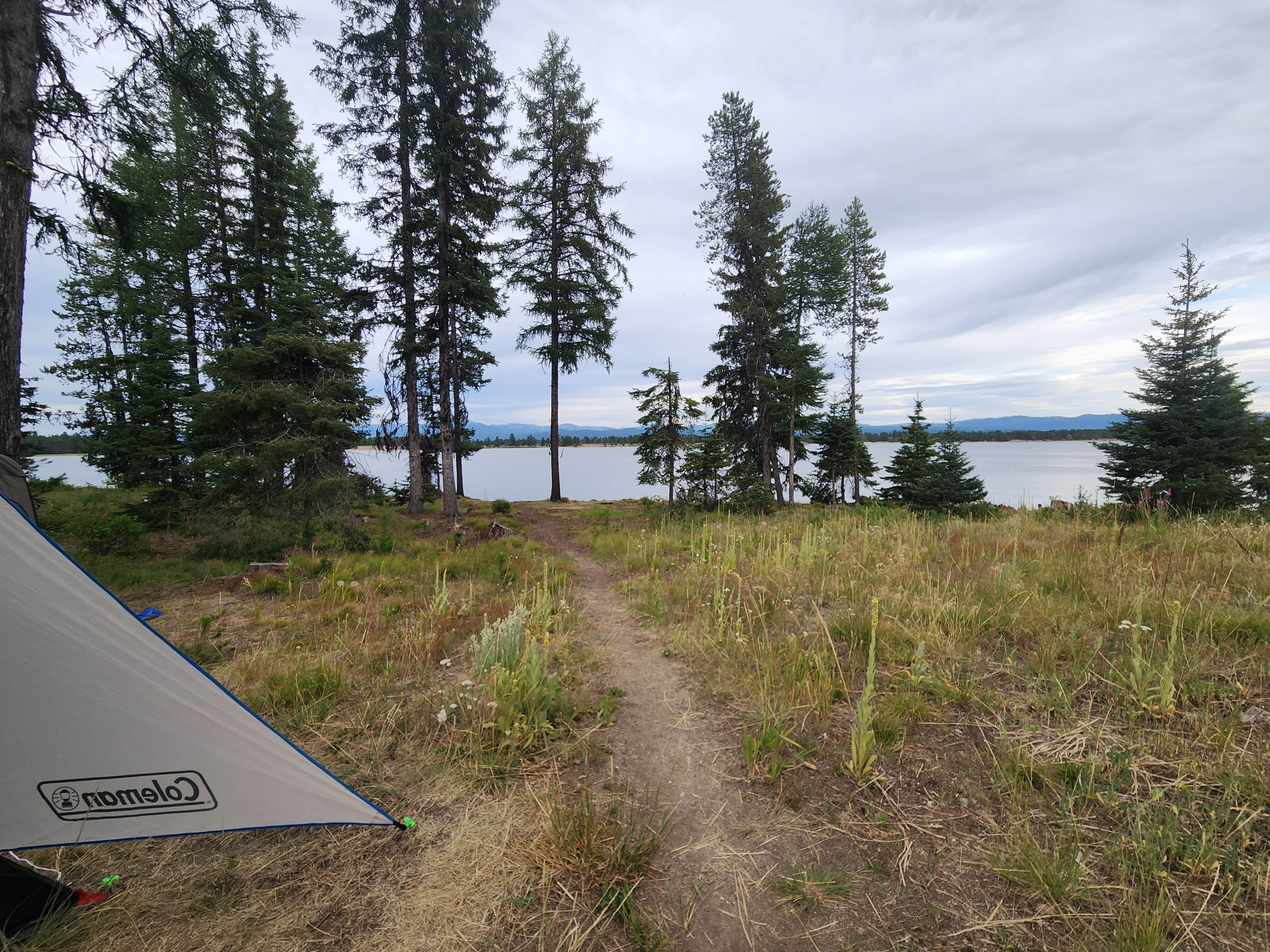 Jennifer D.'s photo at Amanita near Cascade, ID