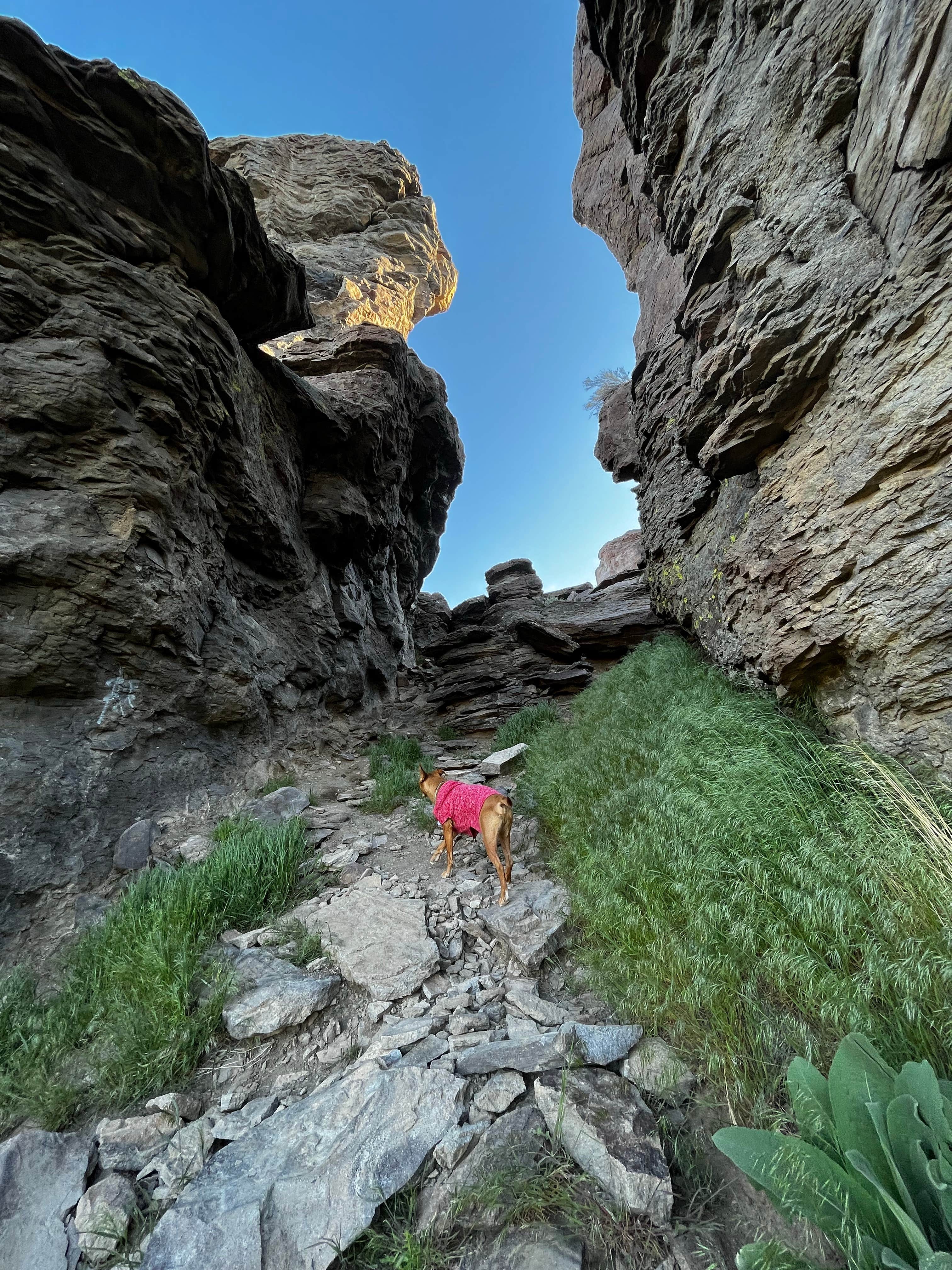 Marasha L.'s photo of camping with pets at Balanced Rock County Park near Jerome, ID