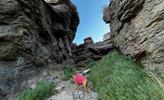 Marasha L.'s photo of camping with pets at Balanced Rock County Park near Hansen, ID