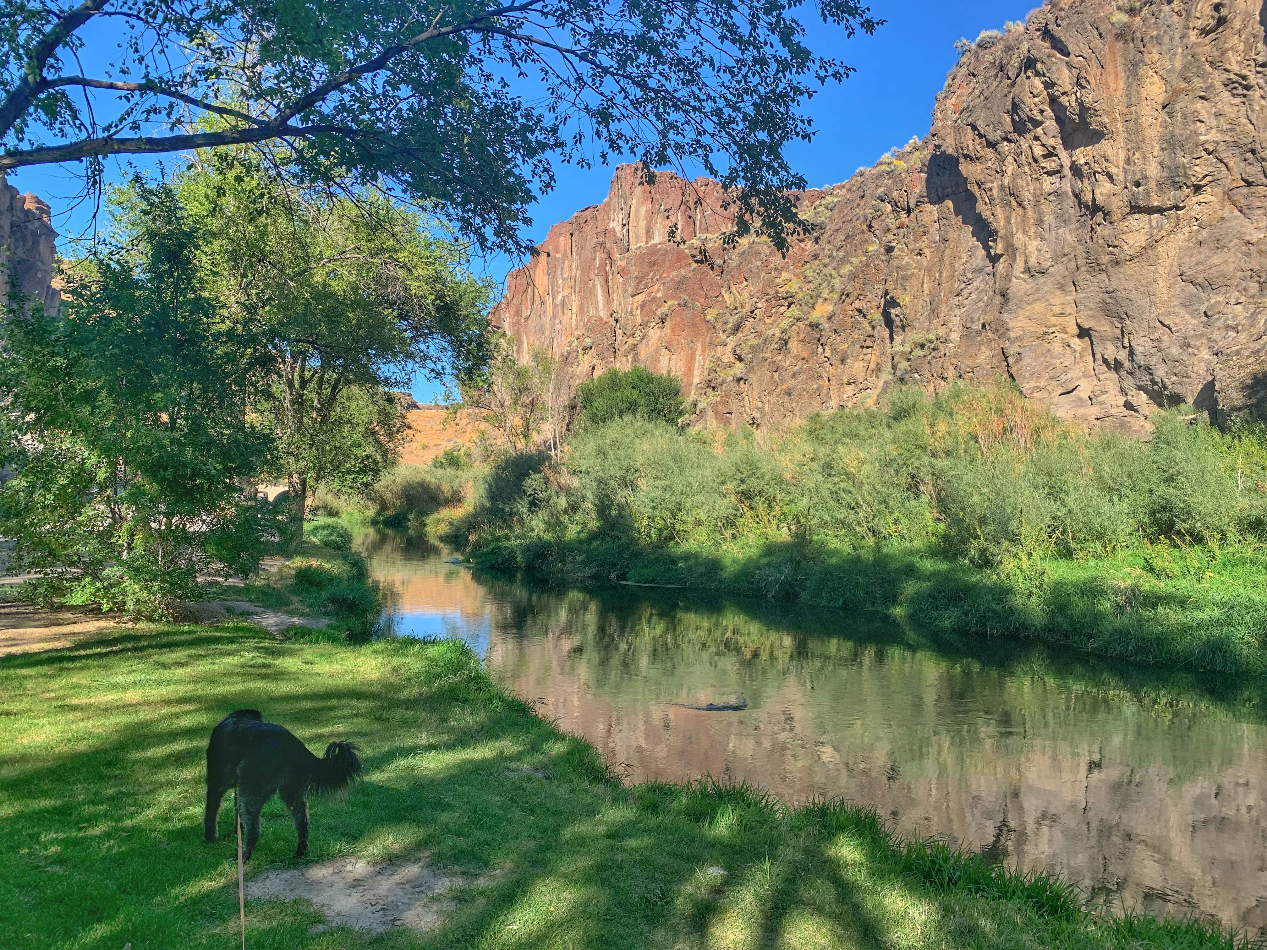 Sadie P.'s photo of camping with pets at Balanced Rock County Park near Murphy Hot Springs, ID