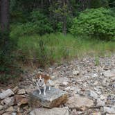 Review photo of Beauty Creek Campground by Cynthea G., June 25, 2025
