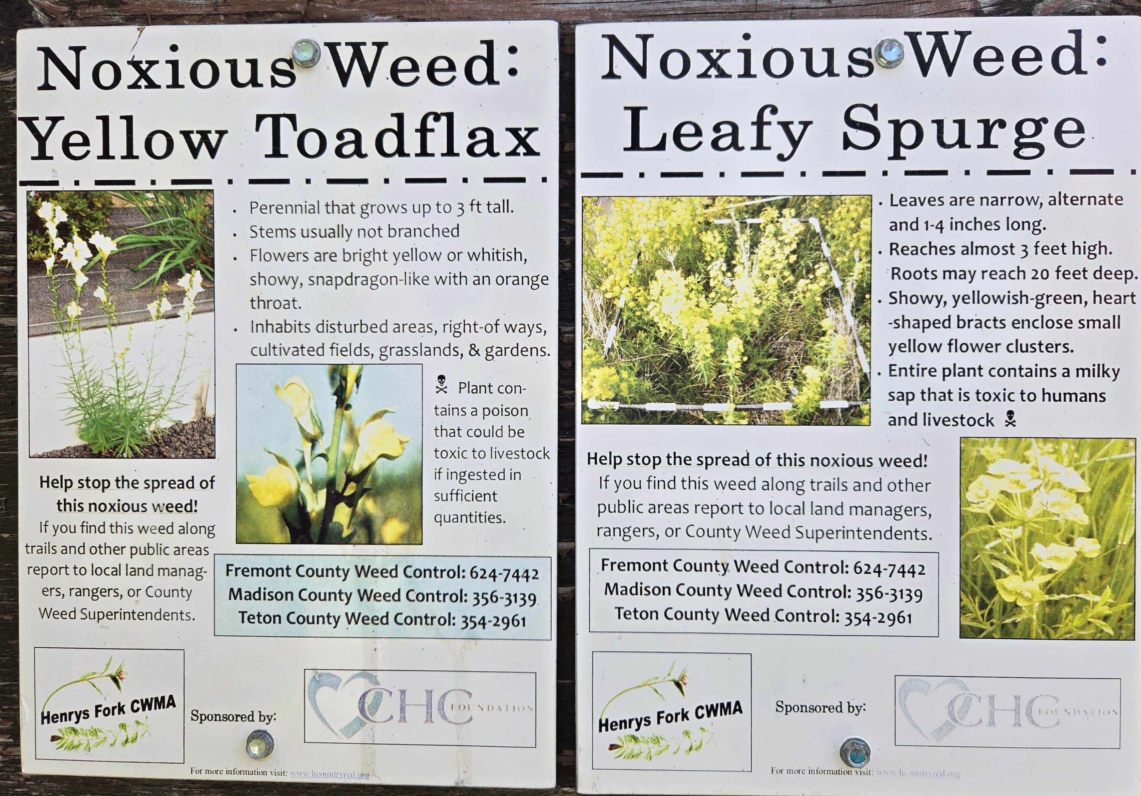 Camper-submitted photo at Beaver Dick Park Campground near Rigby, ID