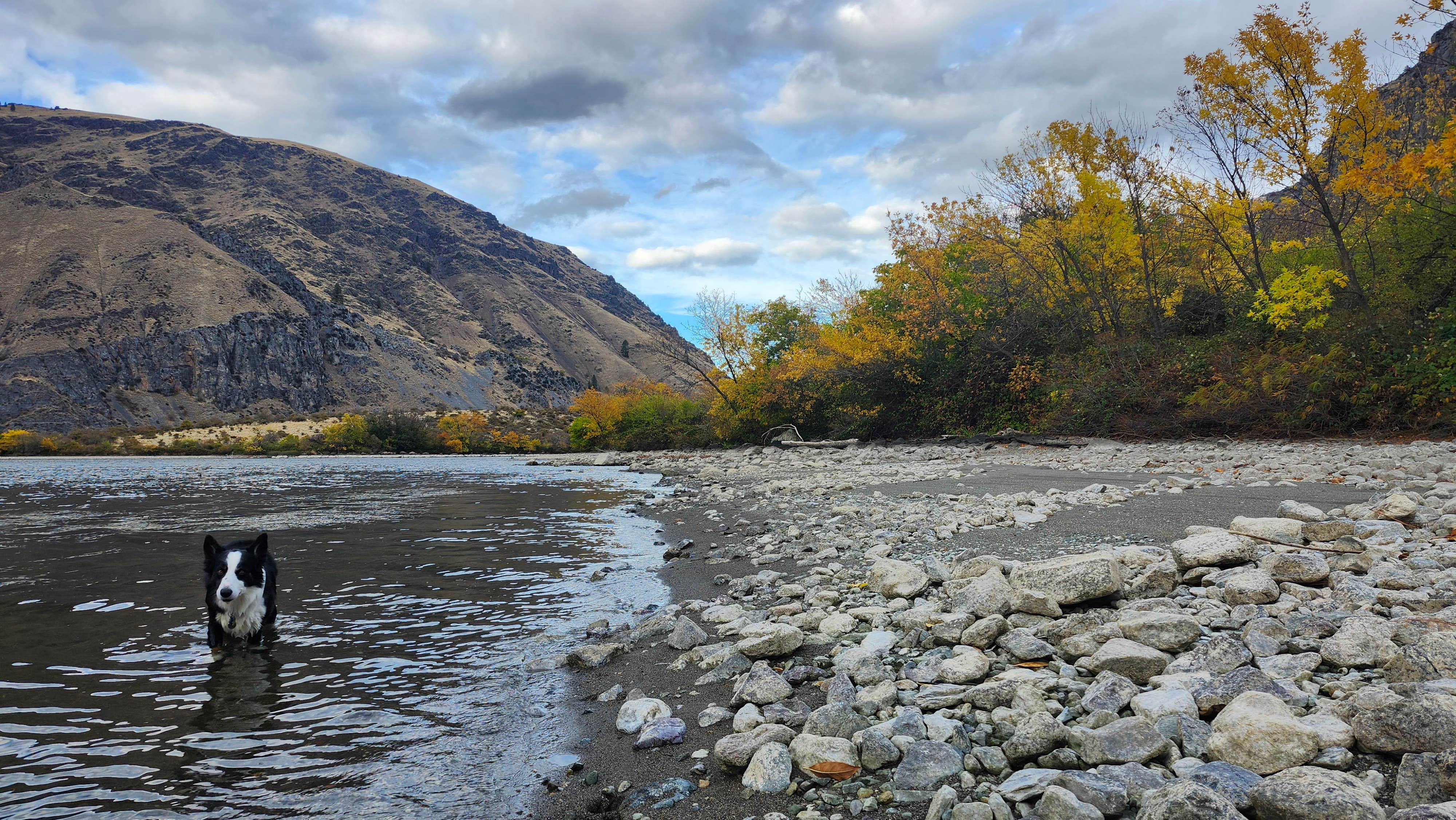 Camping near Hells Canyon Park: Big Bar Campground, Oxbow, Idaho