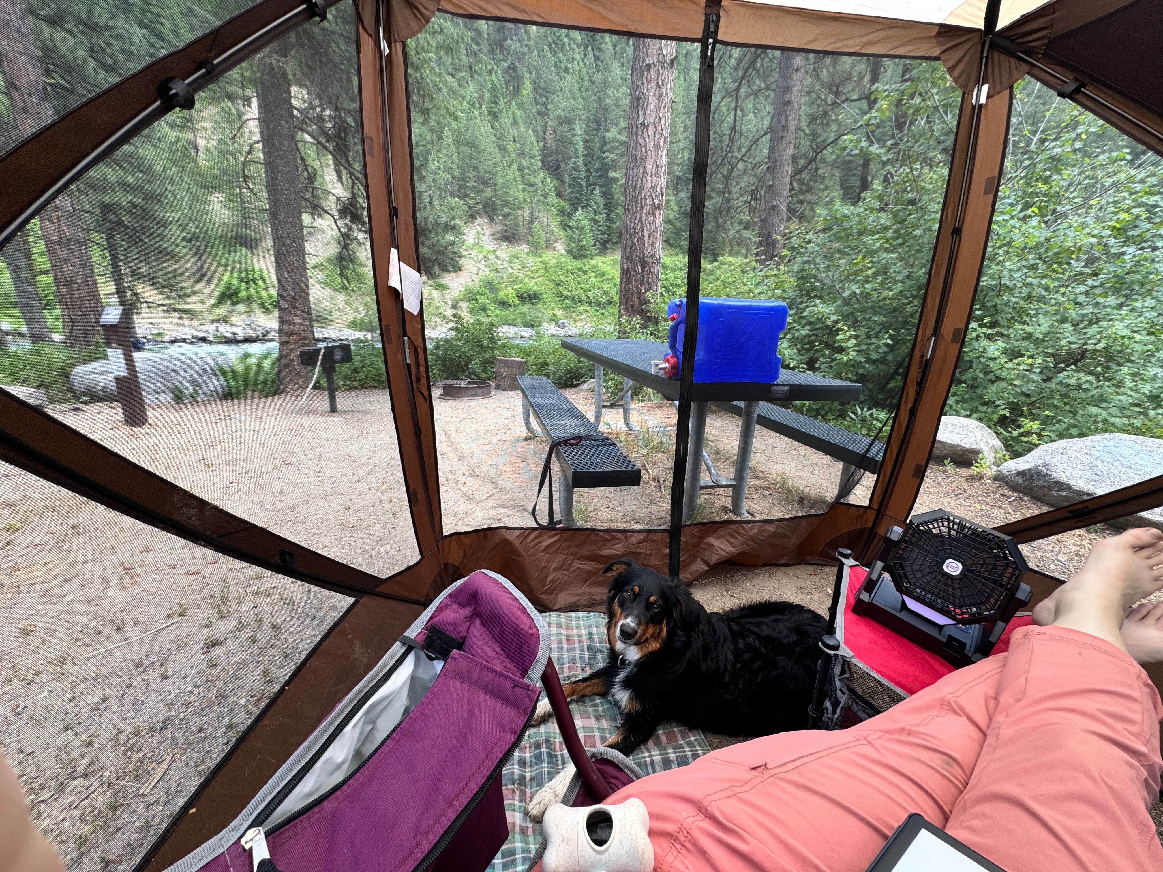 Camper submitted image from Big Eddy Campground - 1