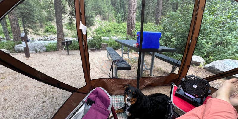 Camper submitted image from Big Eddy Campground