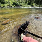 Review photo of Big Eddy Campground by phyliss G., July 16, 2024