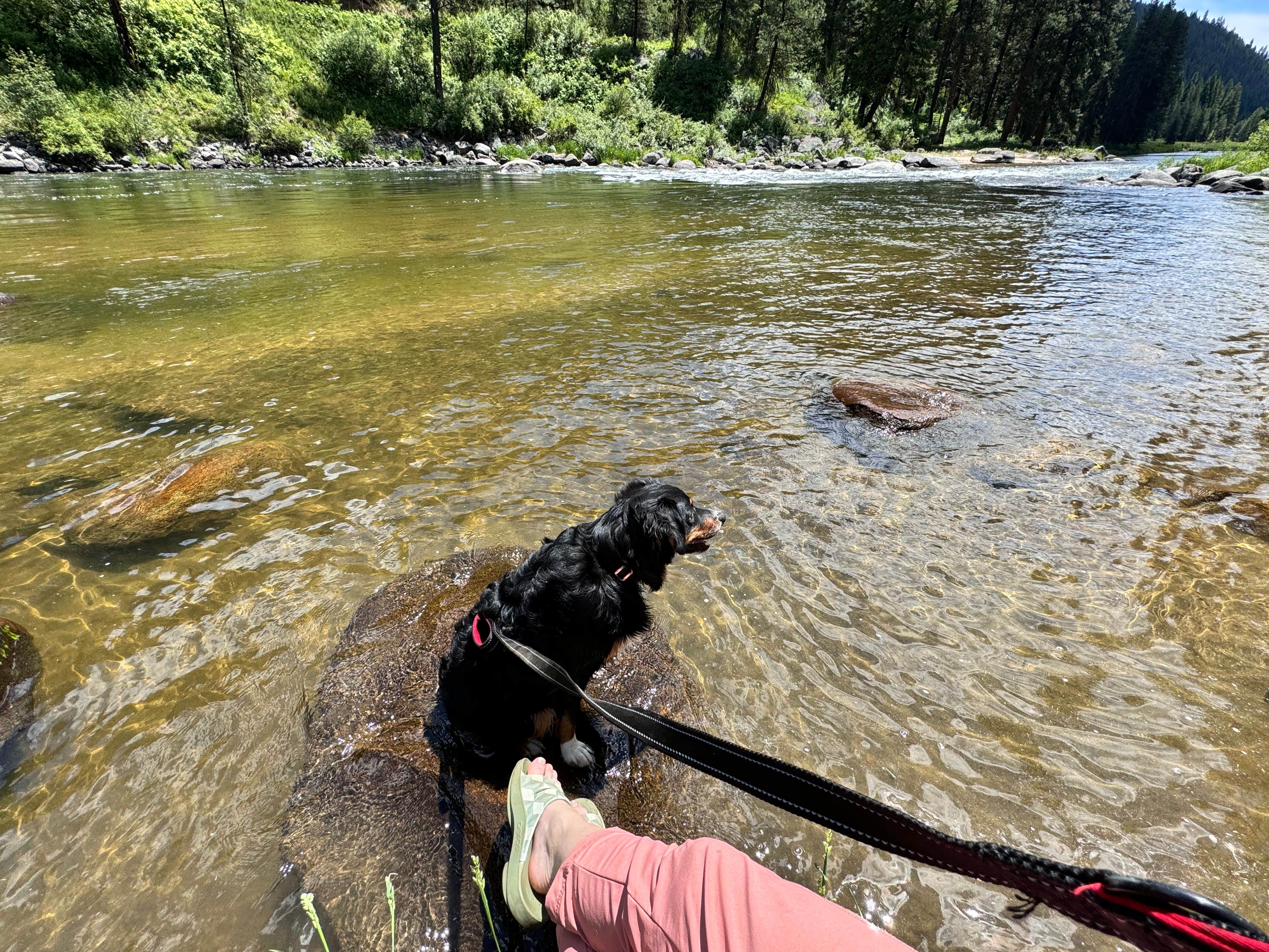 Camper submitted image from Big Eddy Campground - 3