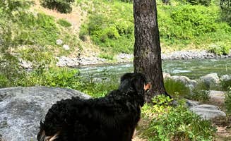 phyliss G.'s photo of camping with pets at Big Eddy Campground near Crouch, ID
