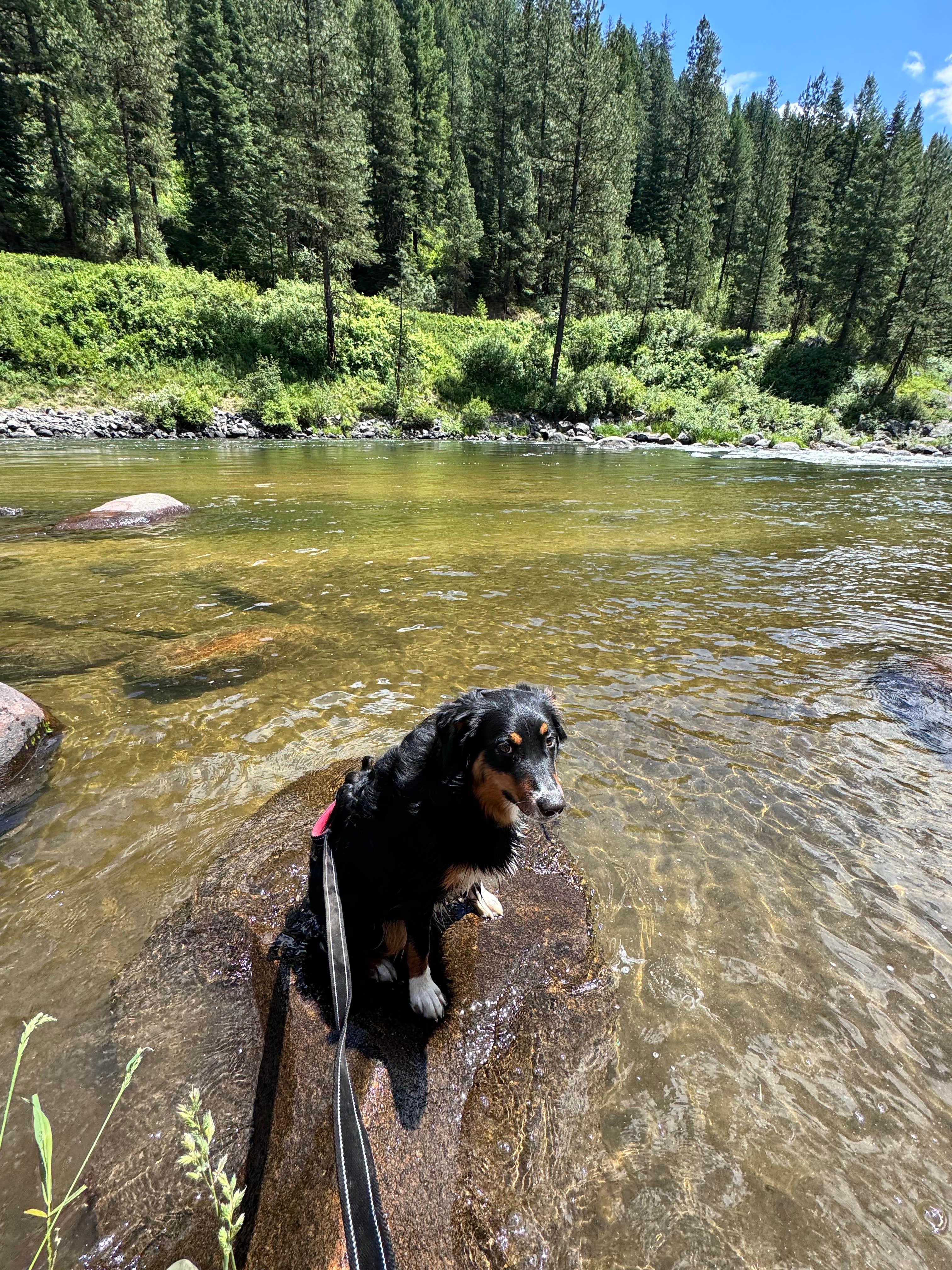 Camper-submitted photo at Big Eddy Campground near Garden Valley, ID