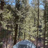 Review photo of Blind Creek Campground by Lauren G., October 4, 2026