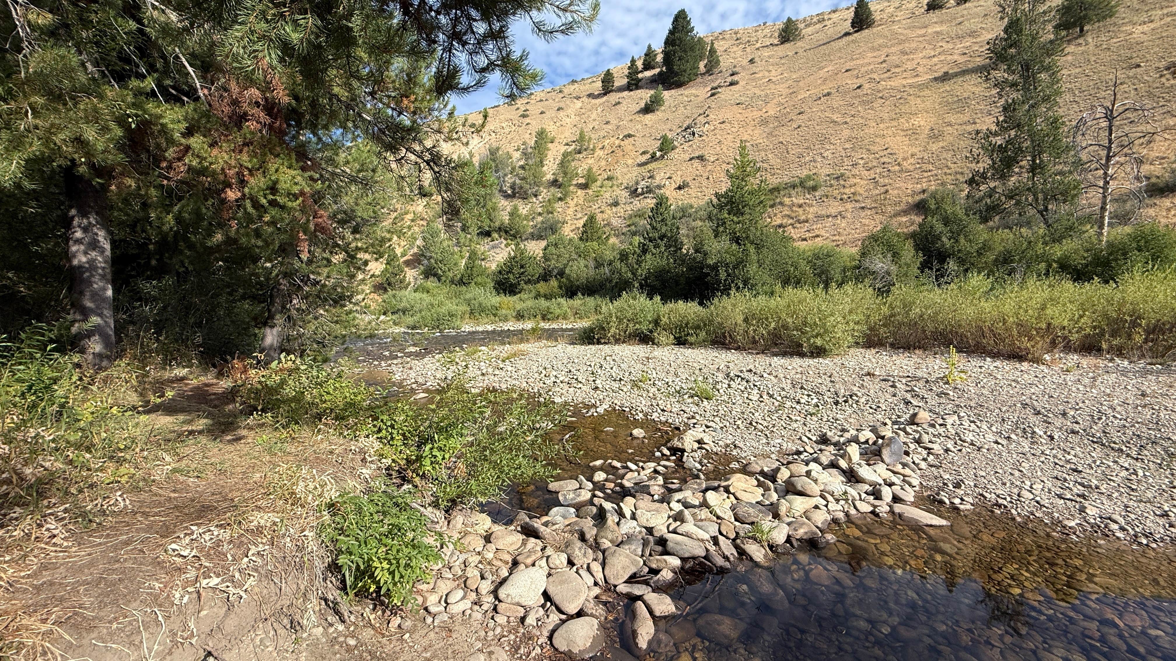 Camper-submitted photo at Bowns Campground near Fairfield, ID