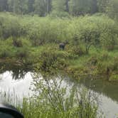 Review photo of Breakwater Campground by Bristol , May 19, 2026