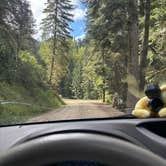 Review photo of Breakwater Campground by Bristol , May 19, 2026