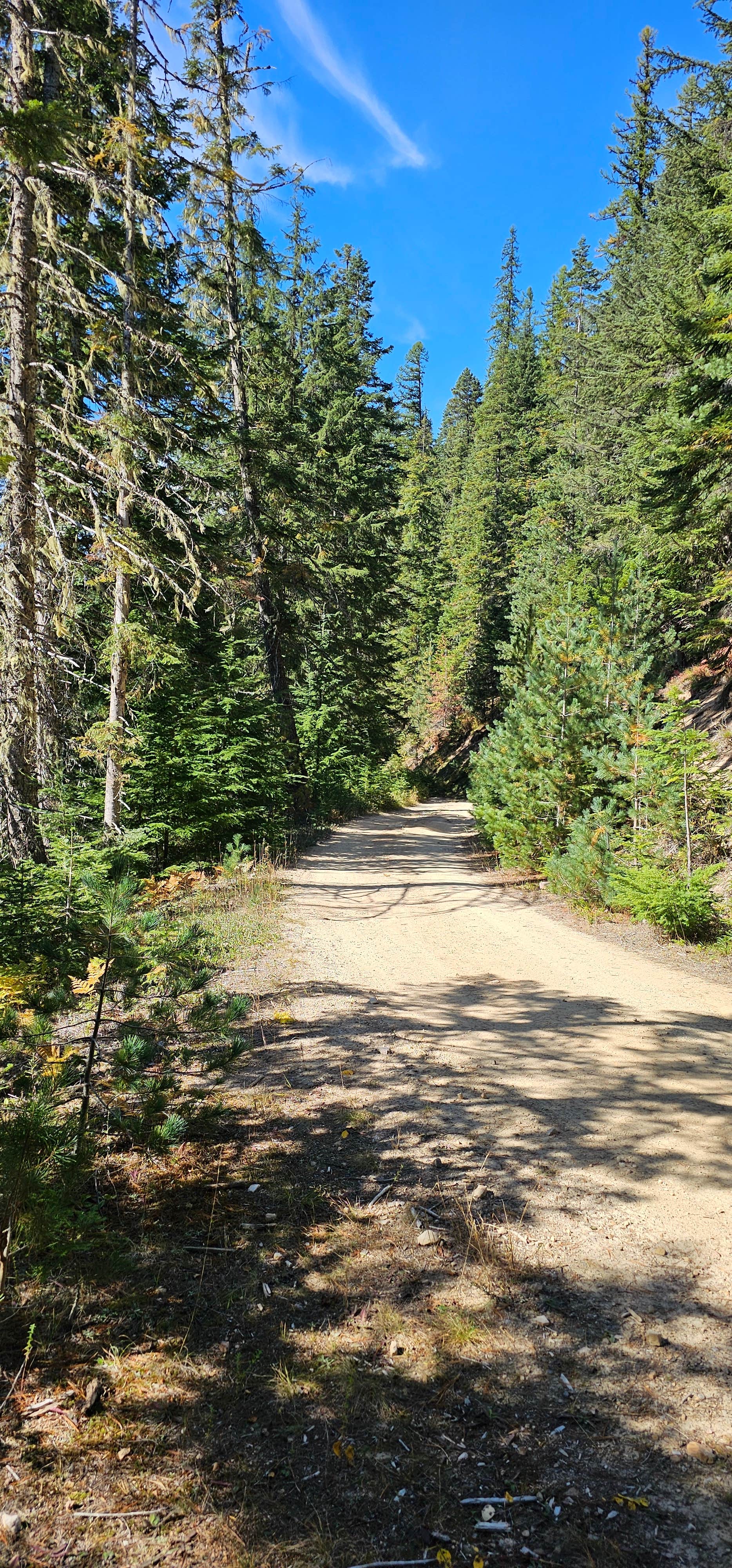 Camper-submitted photo at Breakwater Campground near Athol, ID