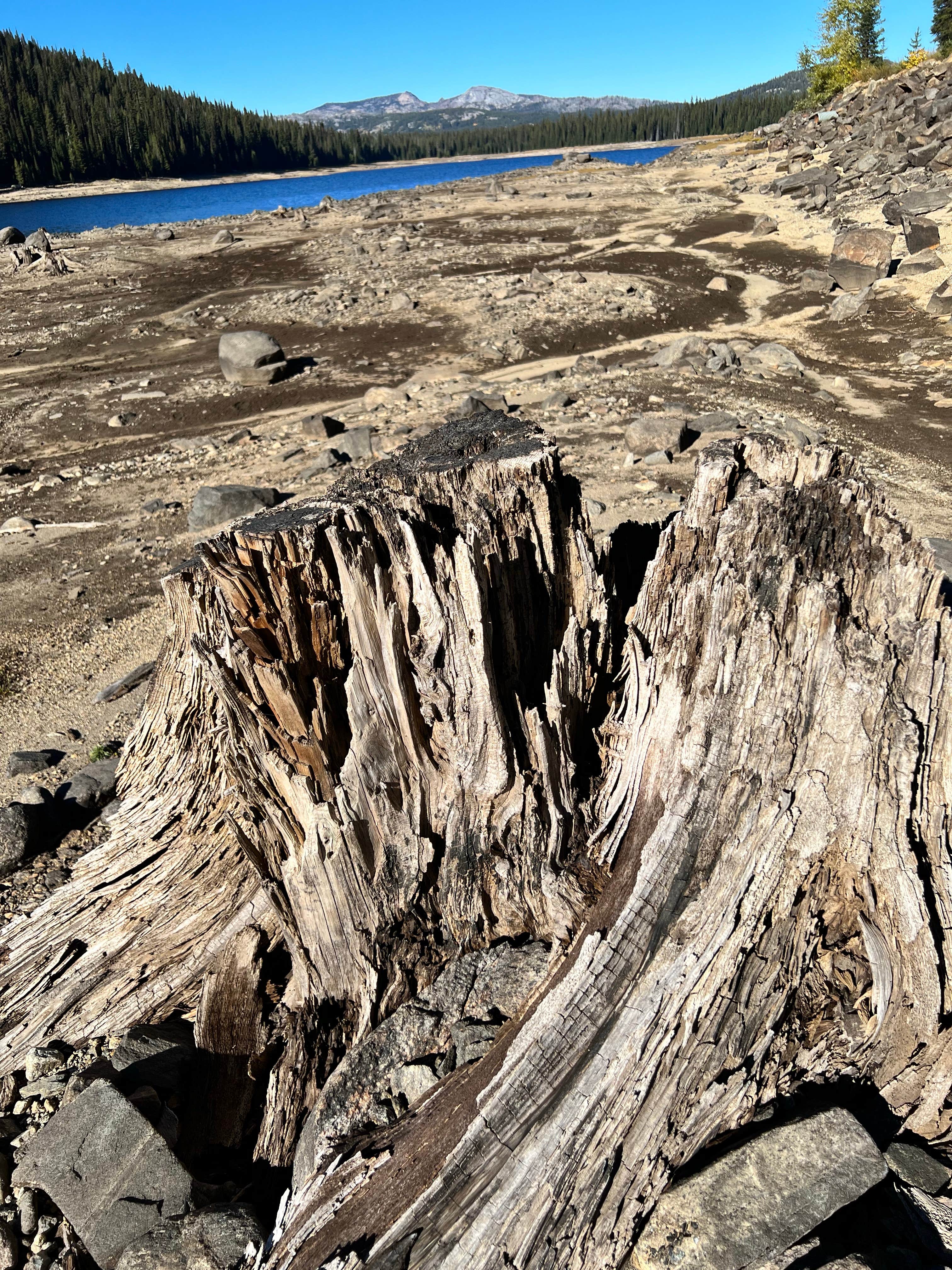Camper-submitted photo at Brundage Reservoir Camping Area near McCall, ID