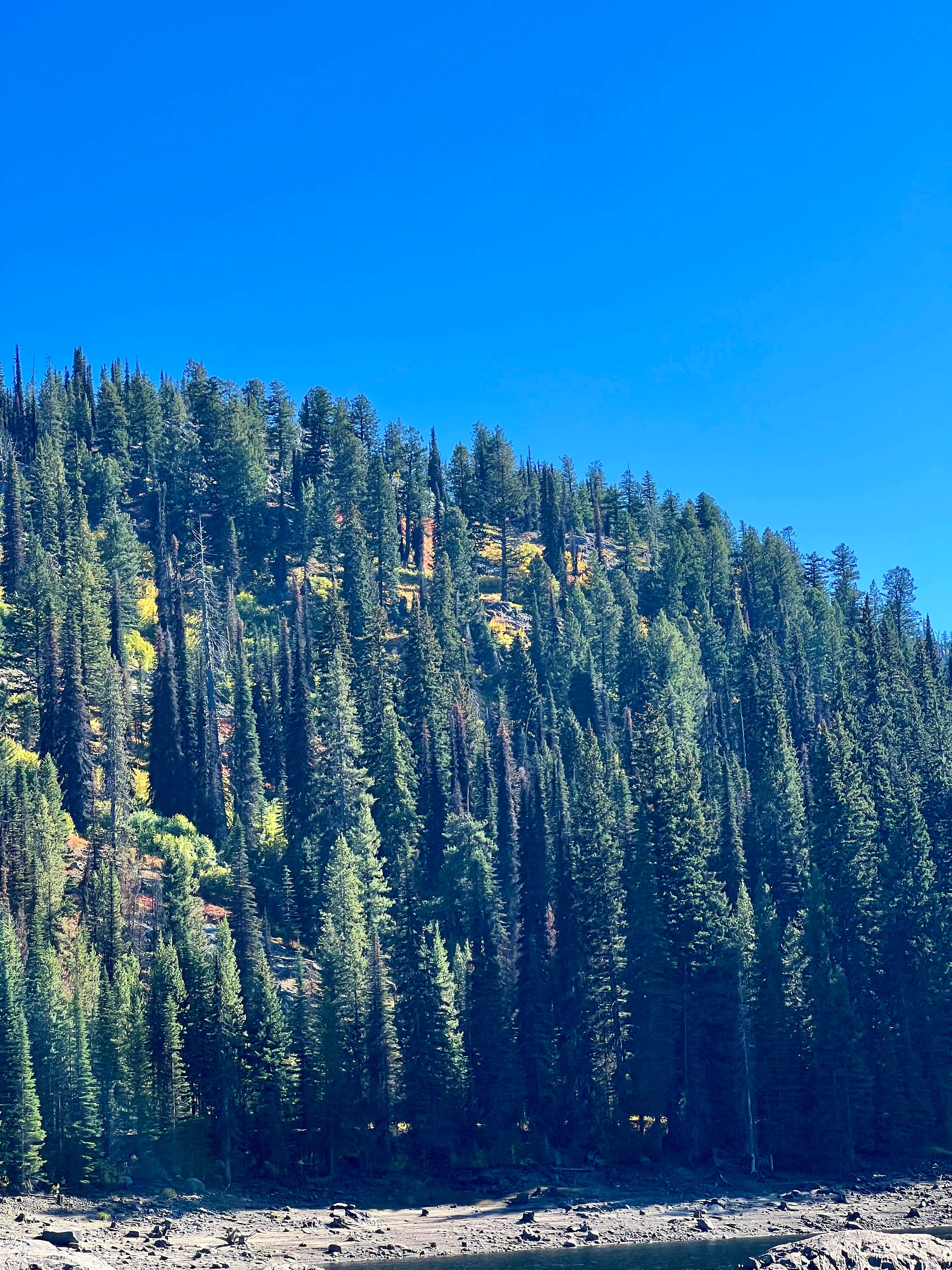 Camper-submitted photo at Brundage Reservoir Camping Area near New Meadows, ID