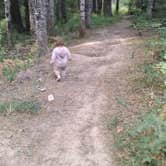 Review photo of Bumblebee Campground by Monica B., August 19, 2026