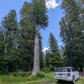 Review photo of Cedars Campground by Scott C., July 5, 2024