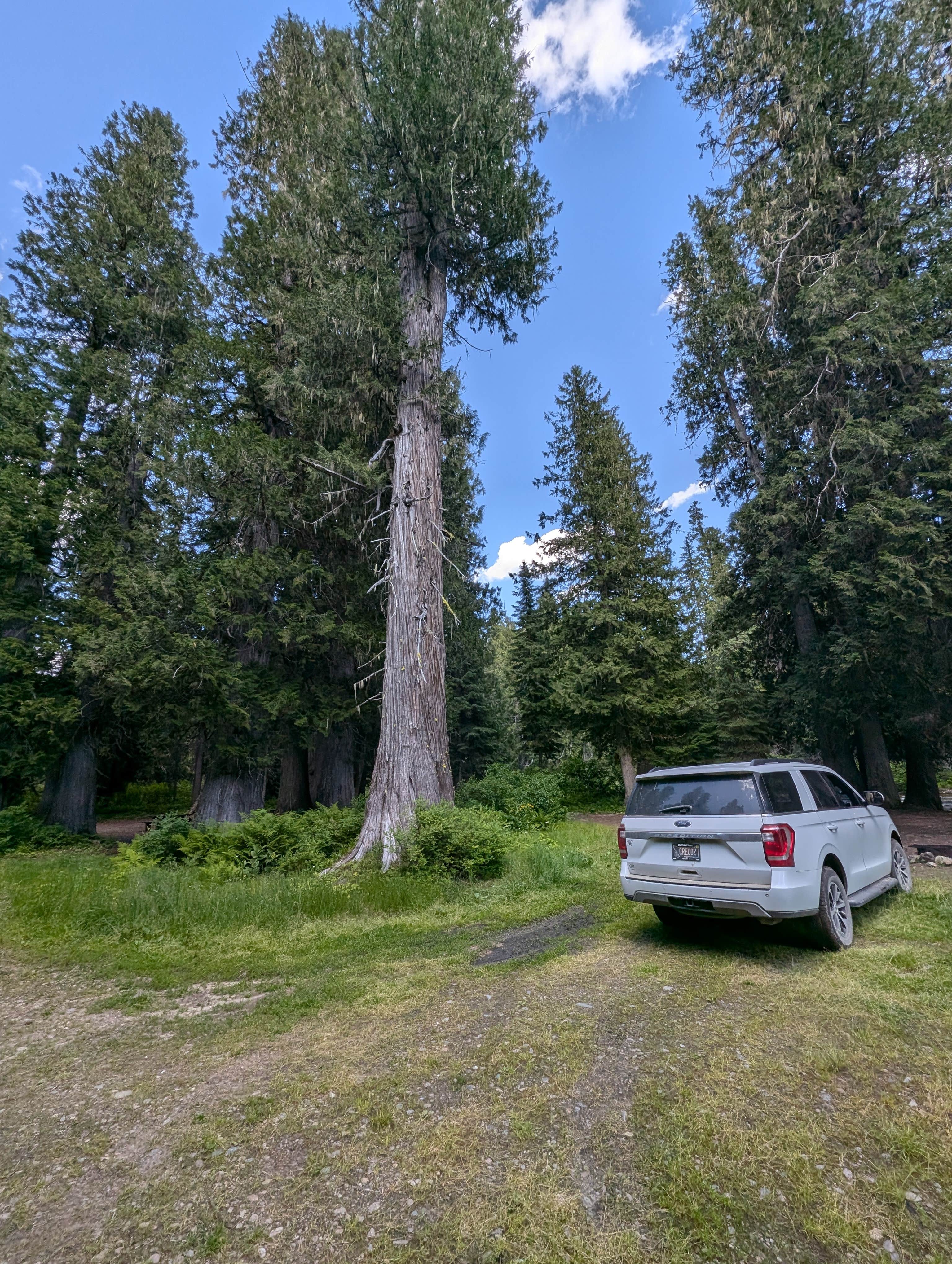 Camper submitted image from Cedars Campground - 1