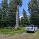 Cedars Campground