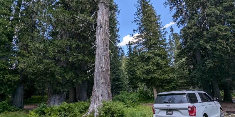 Camper submitted image from Cedars Campground