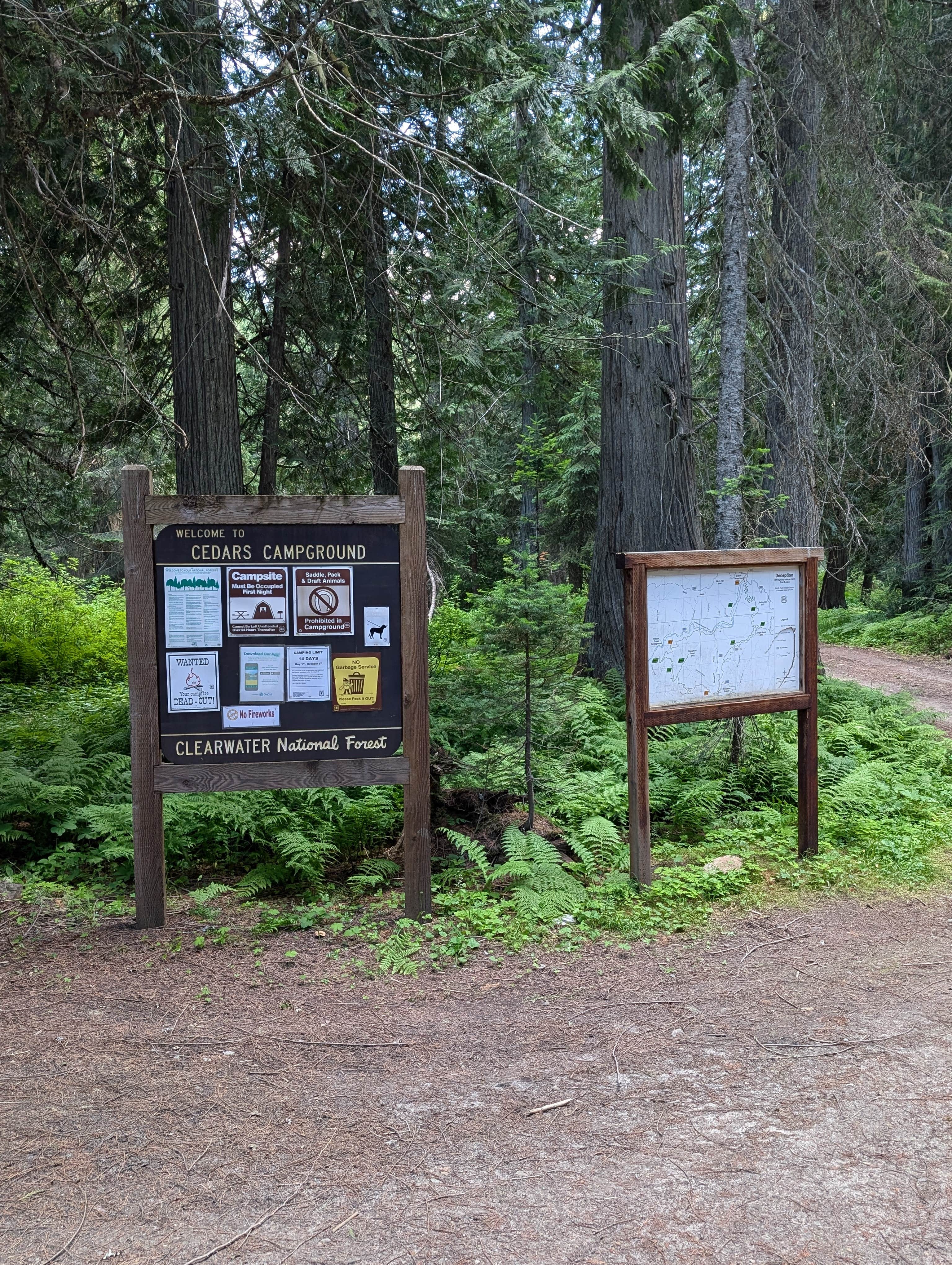 Camper submitted image from Cedars Campground - 5