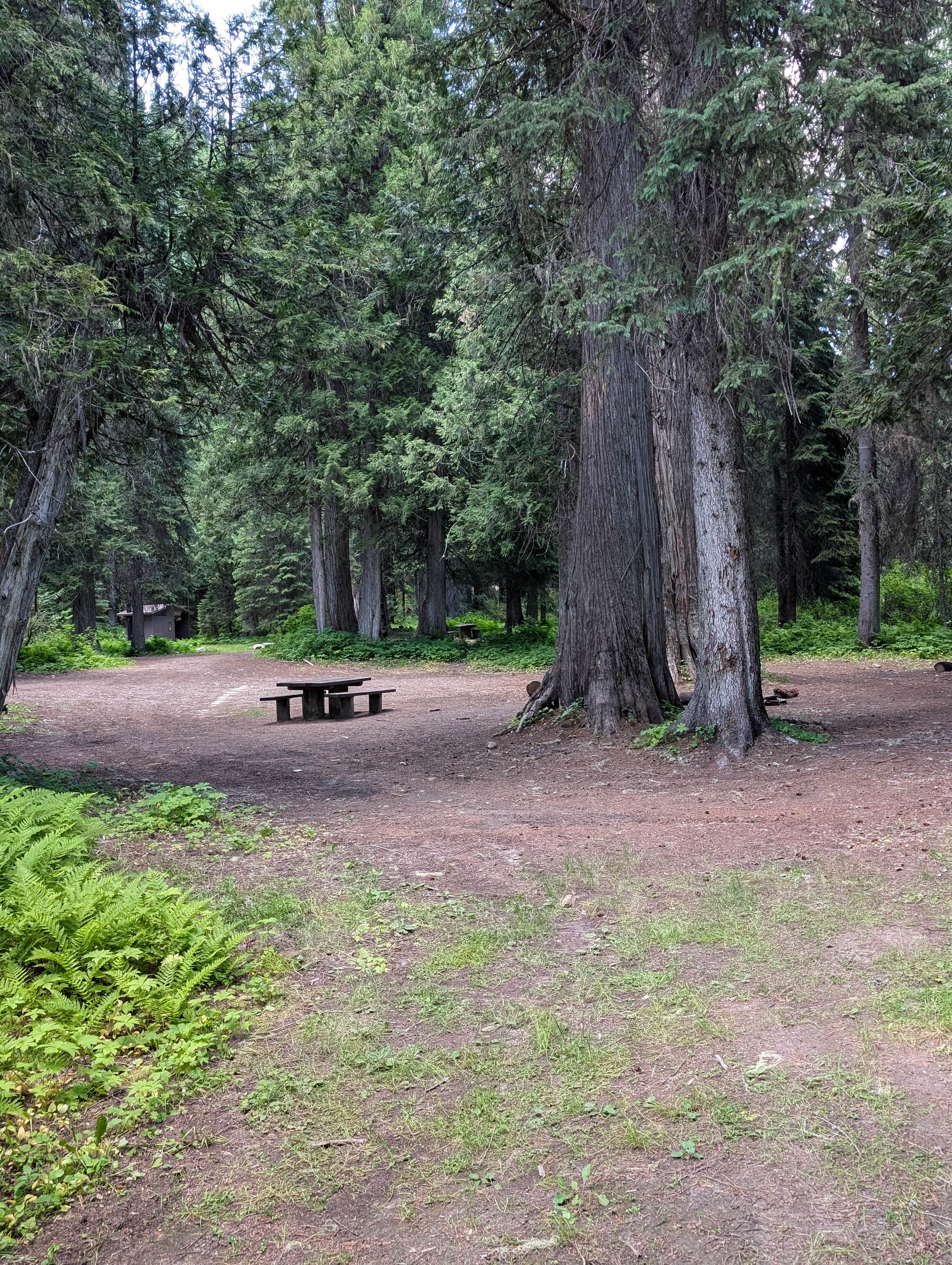 Camper submitted image from Cedars Campground - 3