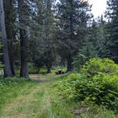 Review photo of Cedars Campground by Scott C., July 5, 2024