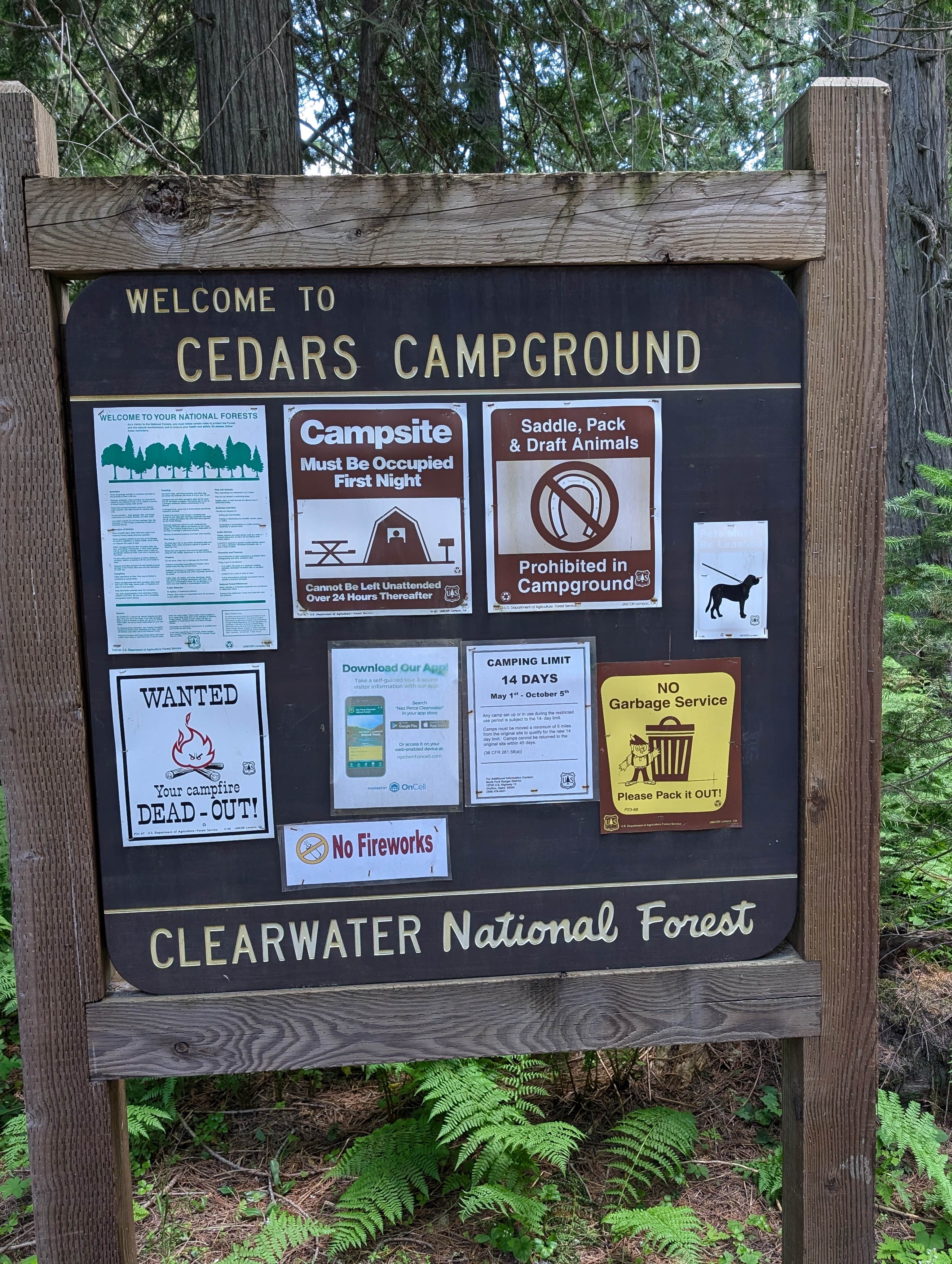 Camper-submitted photo at Cedars Campground near Superior, MT