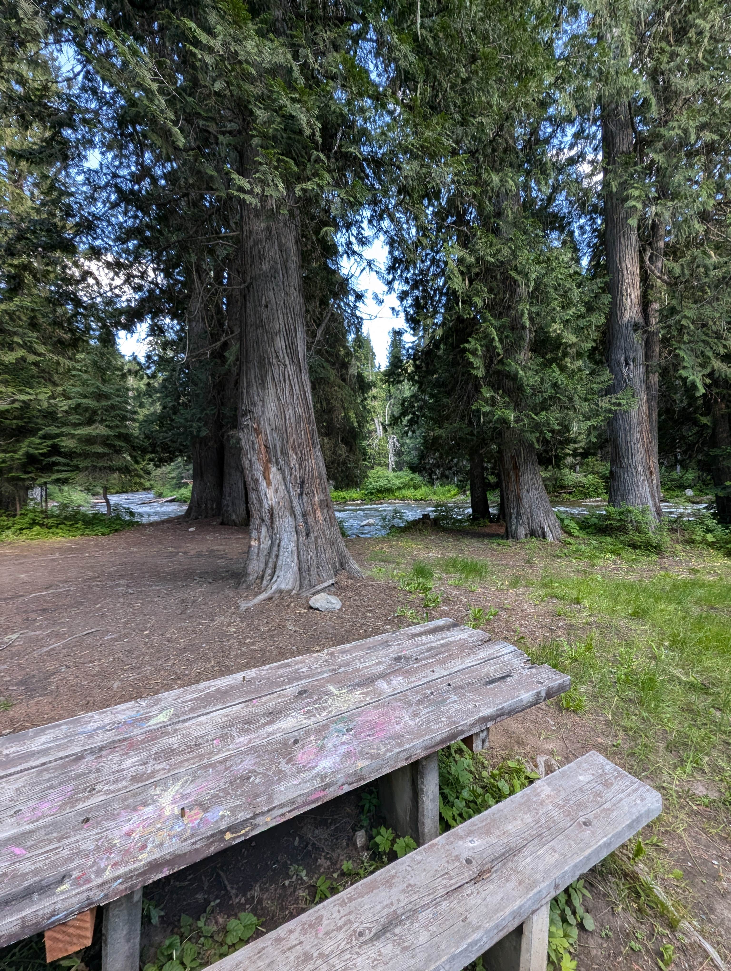 Camper-submitted photo at Cedars Campground near Superior, MT