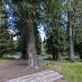 Review photo of Cedars Campground by Scott C., July 5, 2024