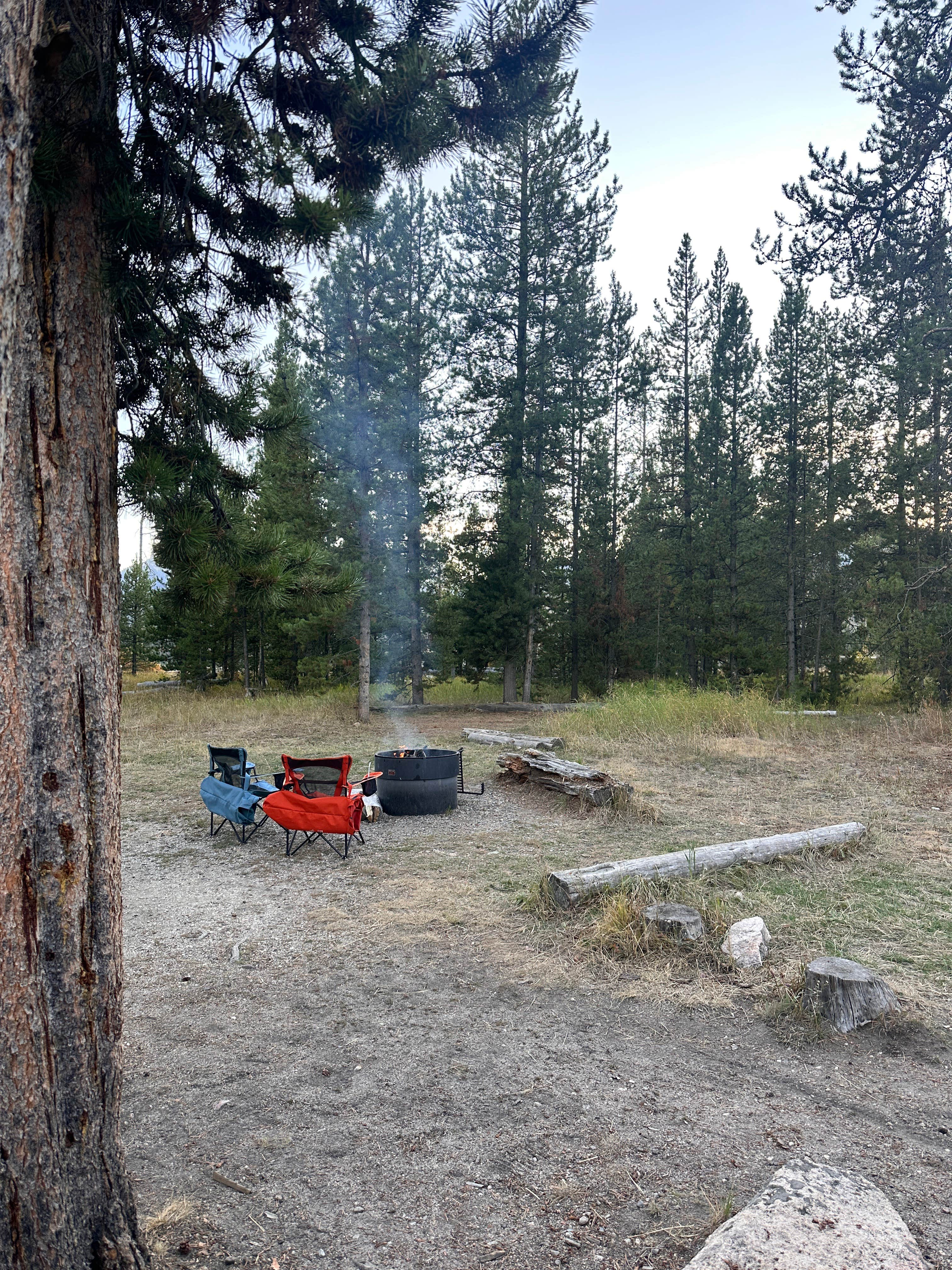 steve D.'s photo at Chinook Bay Campground near Stanley, ID