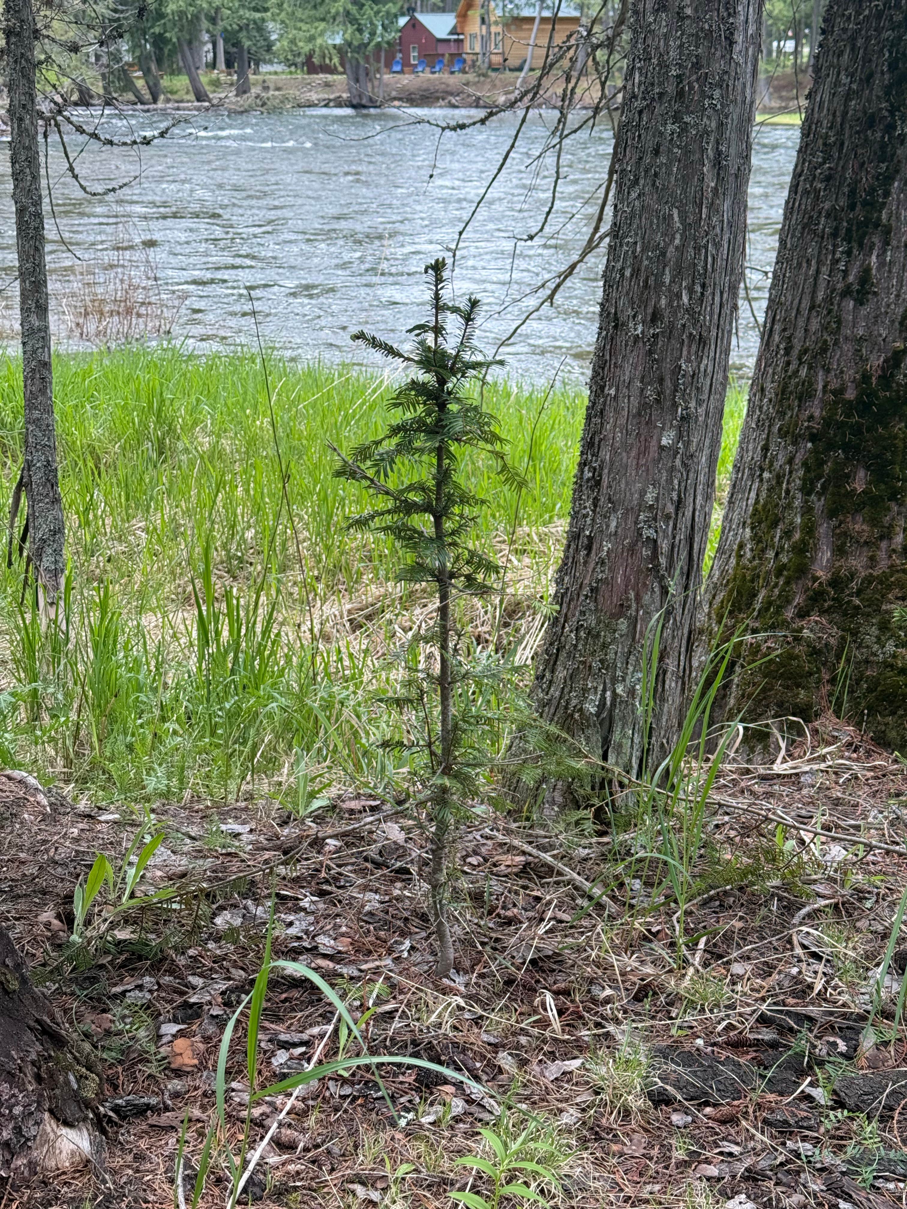 Camper-submitted photo at Copper Creek Campground near Porthill, ID