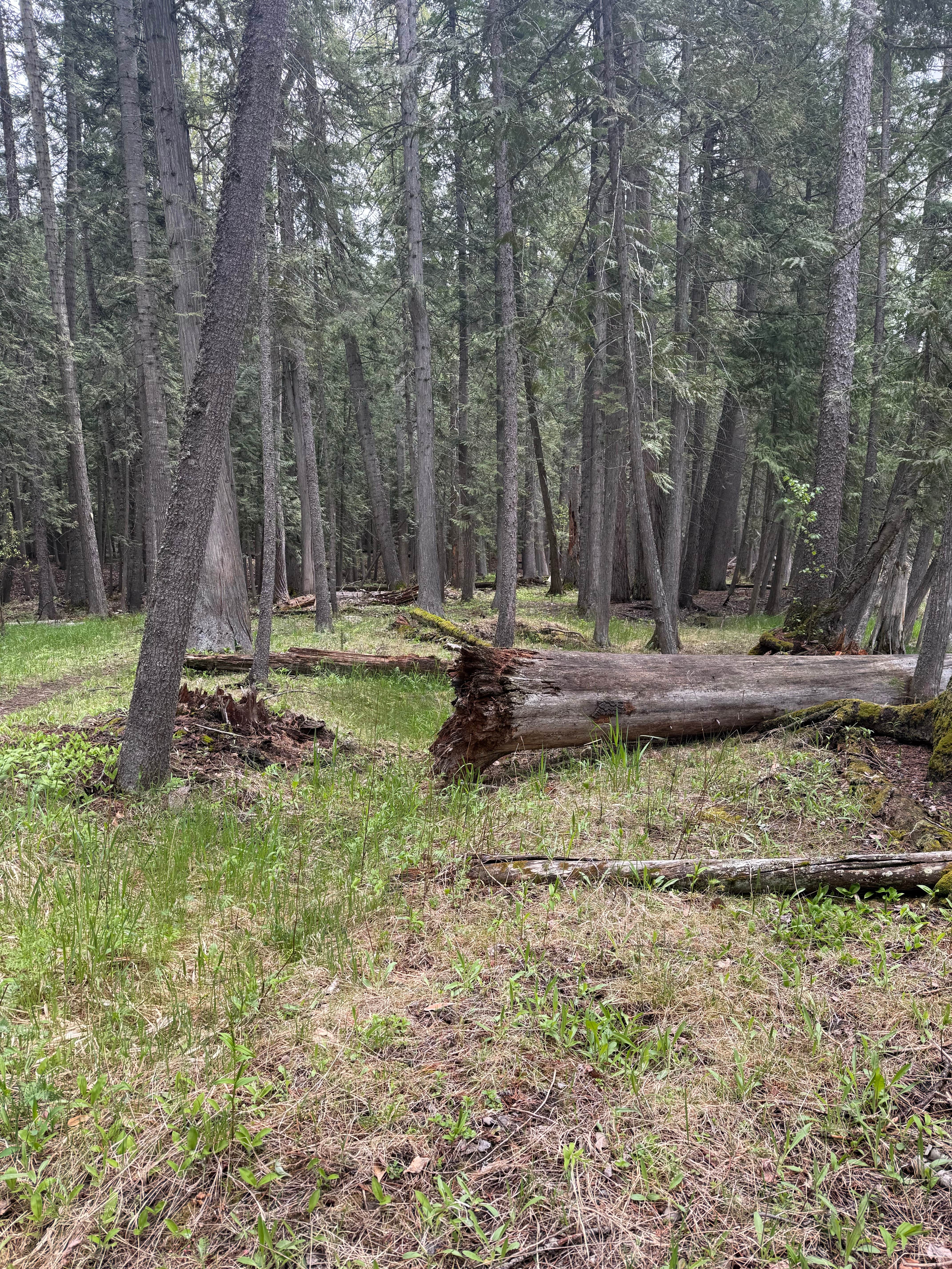 Camper-submitted photo at Copper Creek Campground near Porthill, ID