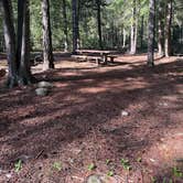 Review photo of Copper Creek Campground by angela G., May 17, 2025