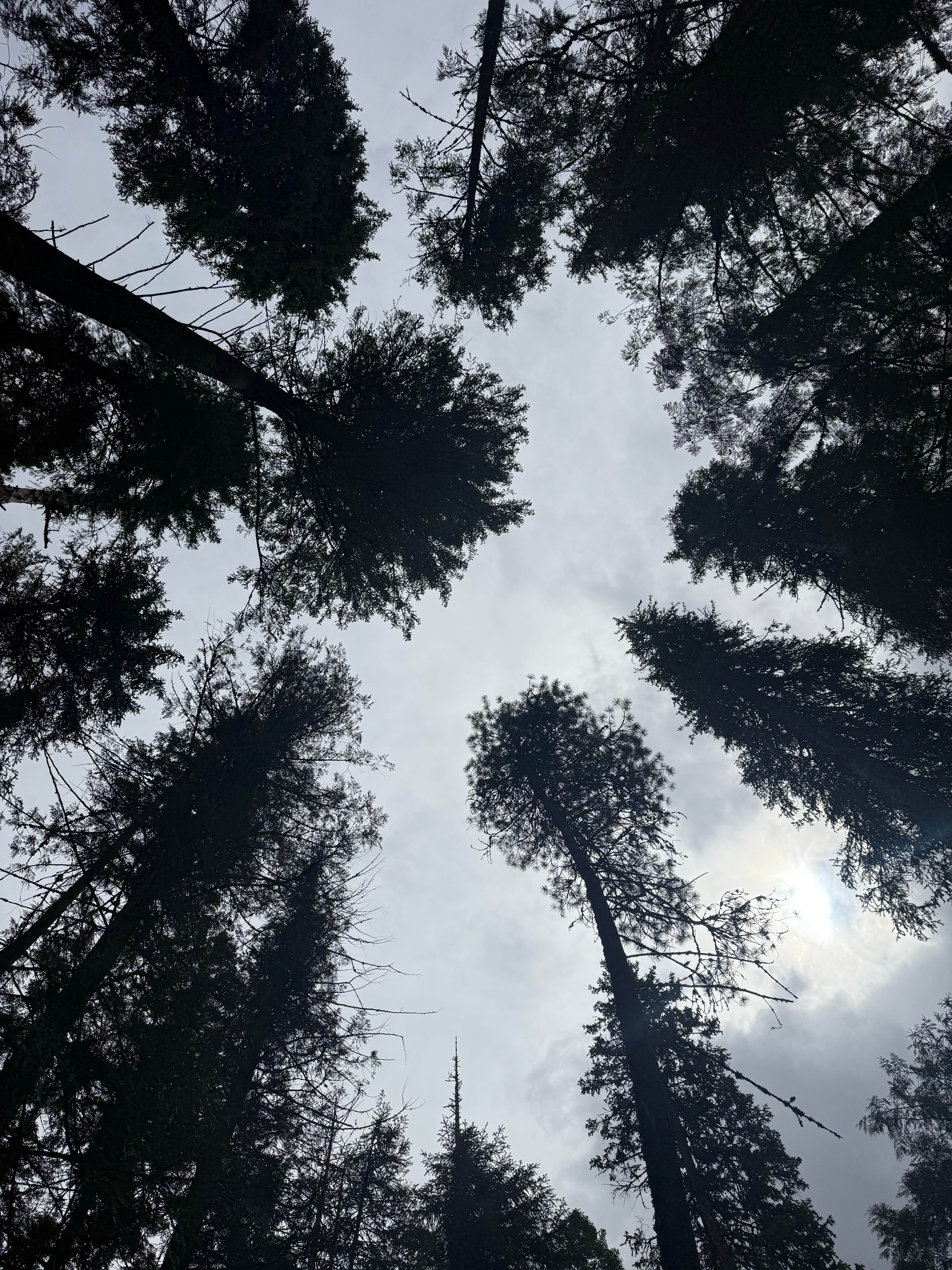 Camper-submitted photo at Copper Creek Campground near Porthill, ID
