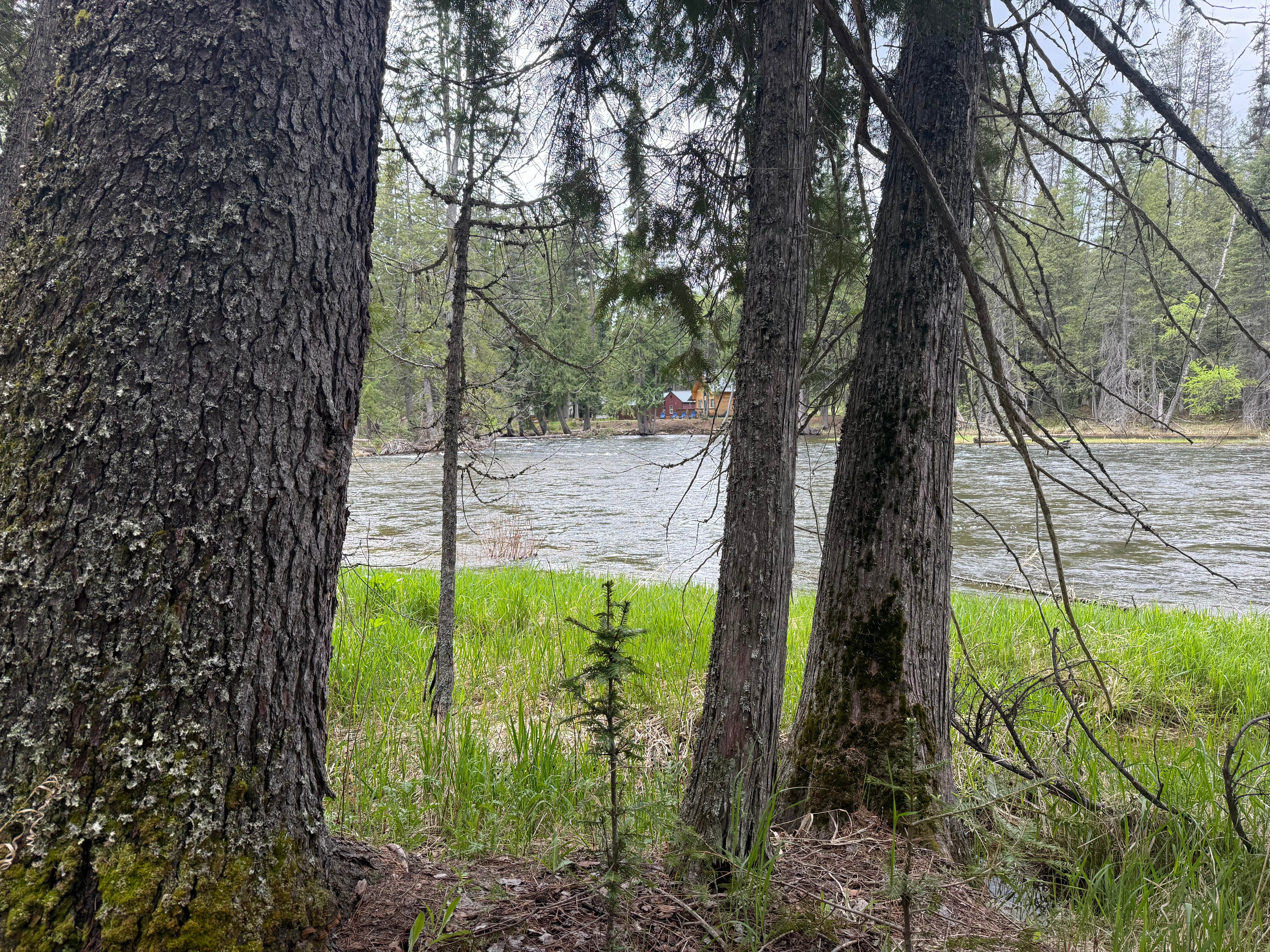 Camper-submitted photo at Copper Creek Campground near Porthill, ID