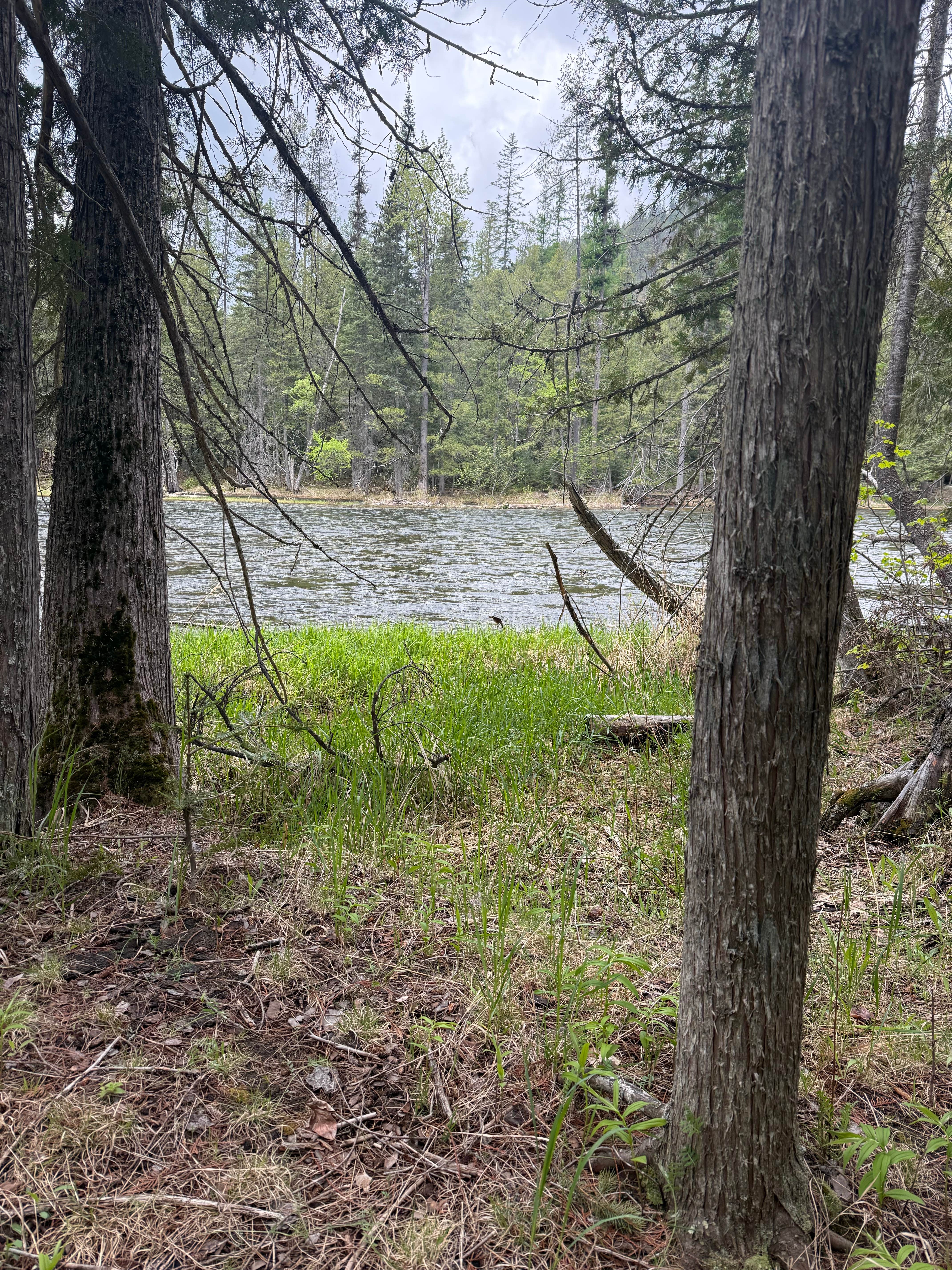 Camper-submitted photo at Copper Creek Campground near Porthill, ID