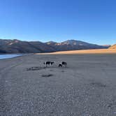 Review photo of Curlew Creek Dispersed Camping by Dave D., October 16, 2026