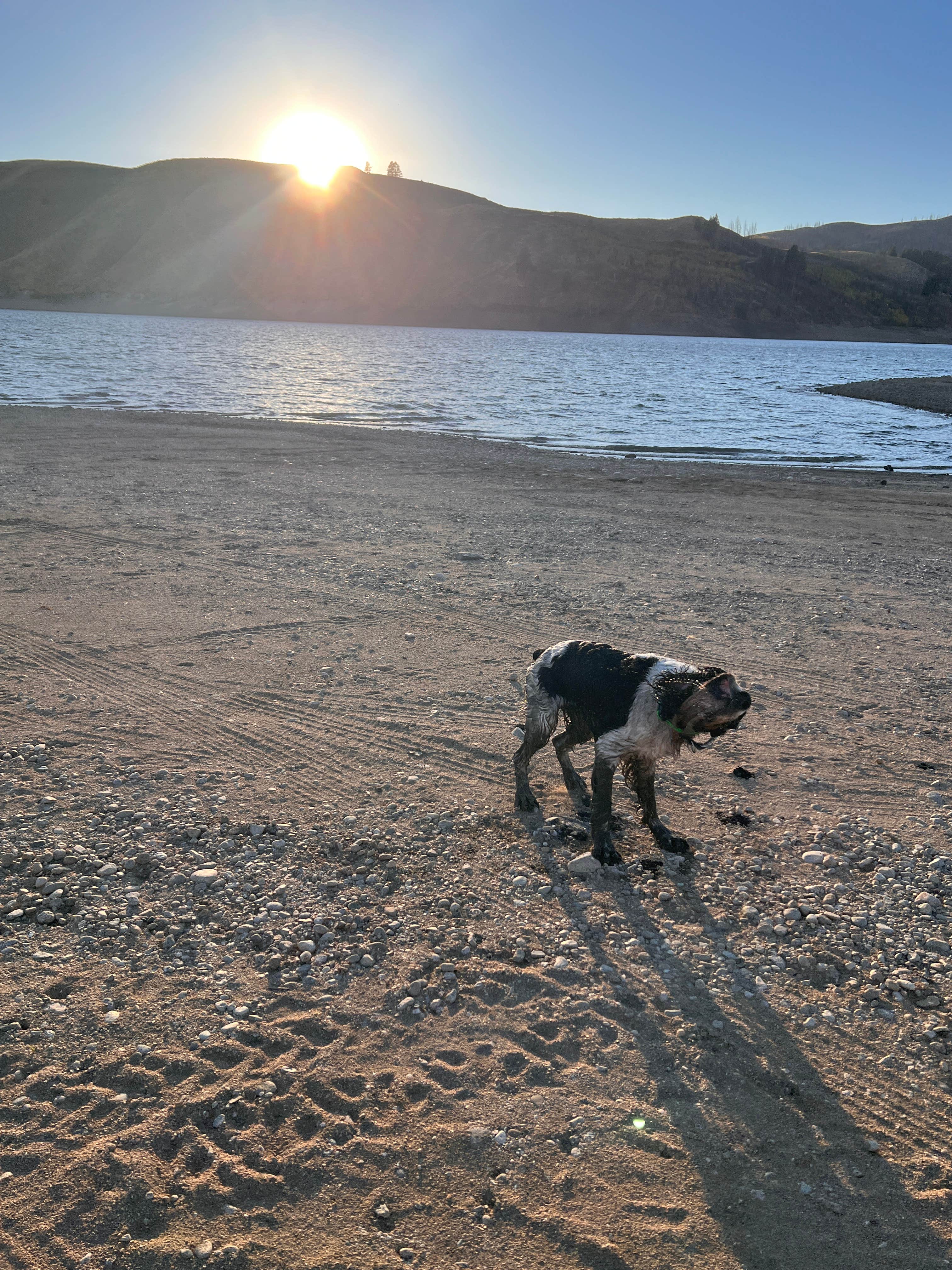 Camping near Fall Creek: Curlew Creek Dispersed Camping, Corral, Idaho