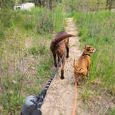 Review photo of Deadwood Campground by Traci B., May 6, 2026