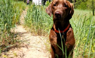 Traci B.'s photo of camping with pets at Deadwood Campground near Crouch, ID