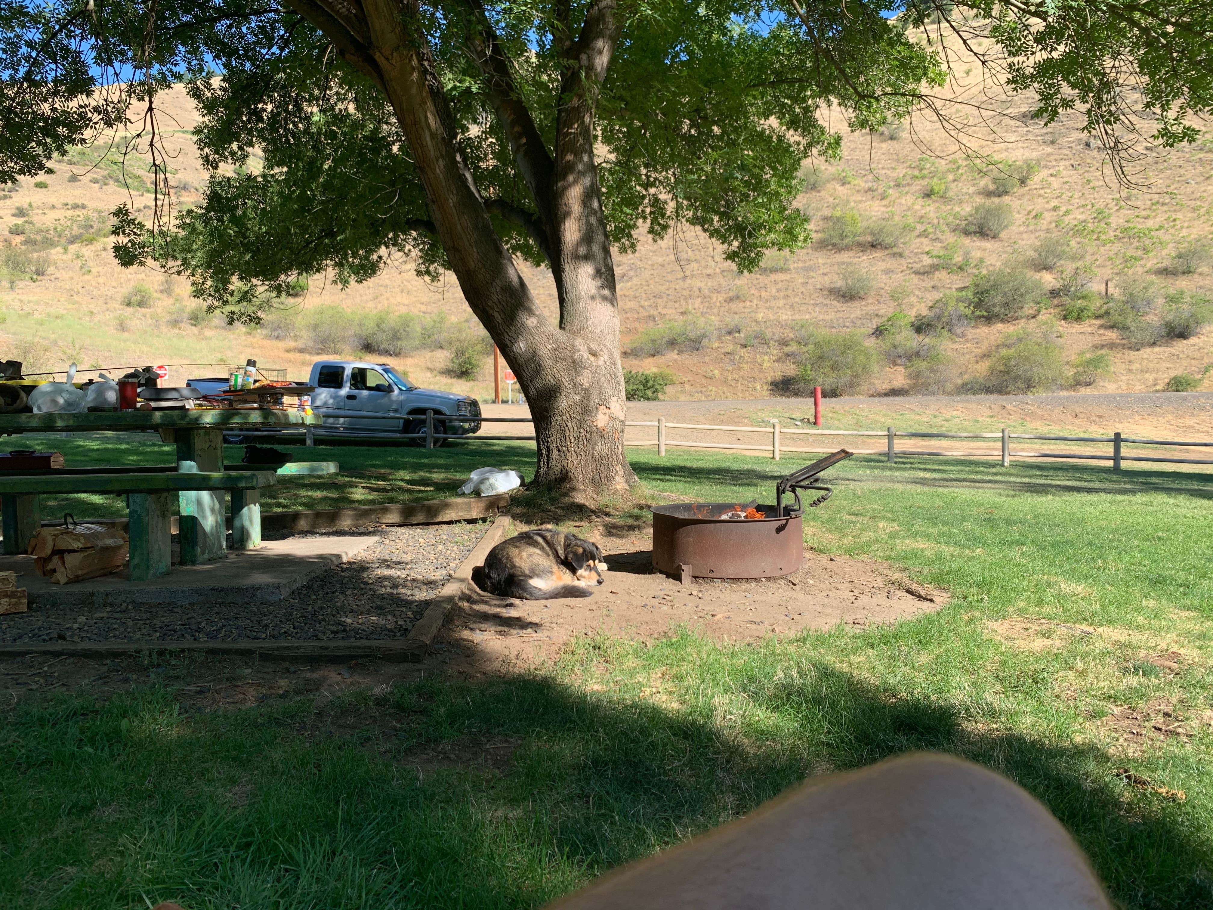 Camper submitted image from Hells Canyon Park - 3