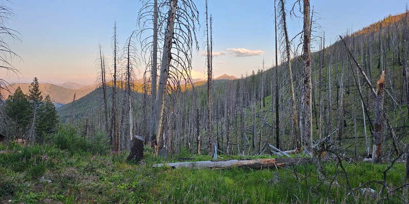 Camper submitted image from Indian Springs