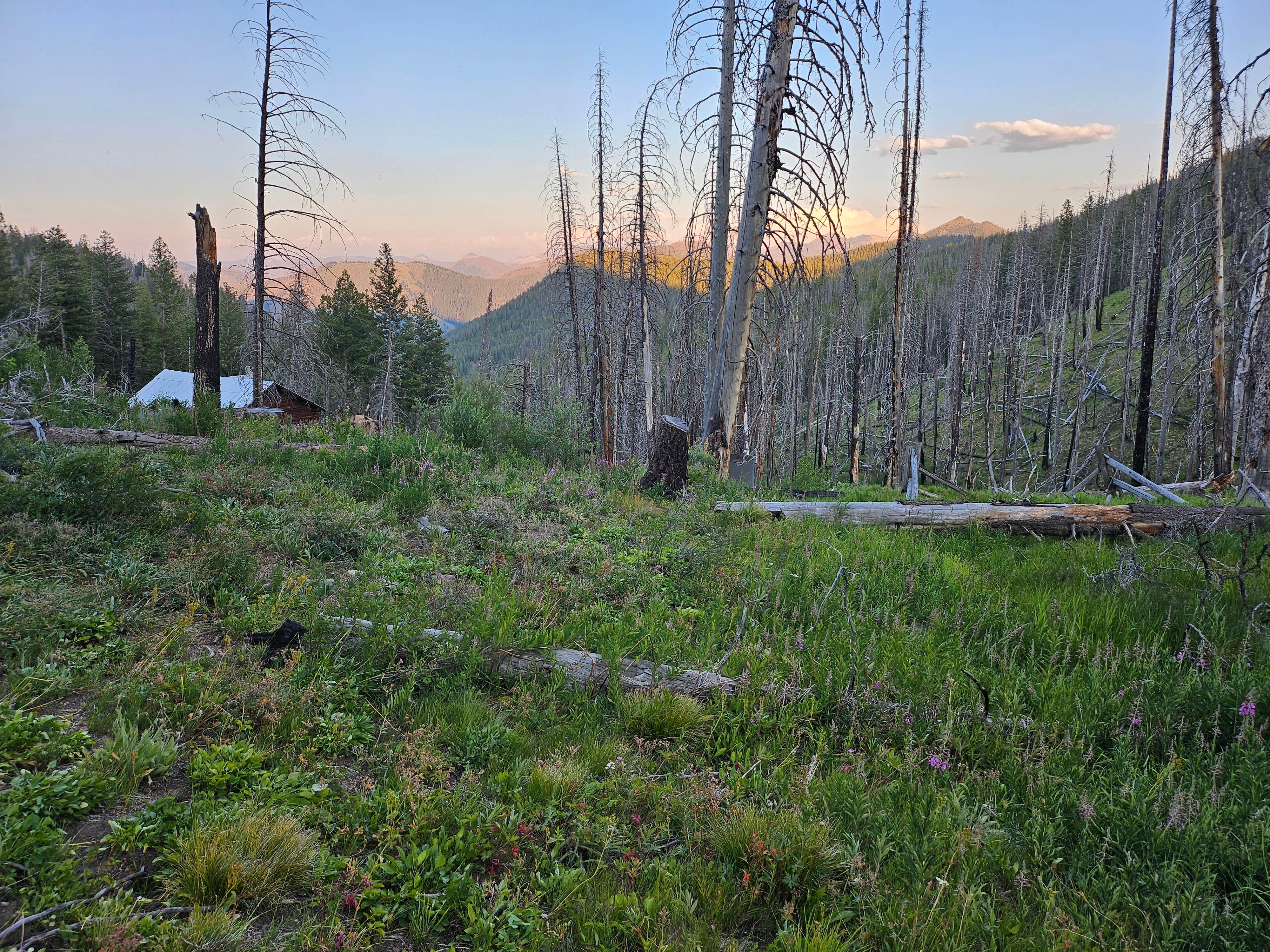 Camper-submitted photo at Indian Springs near Cobalt, ID
