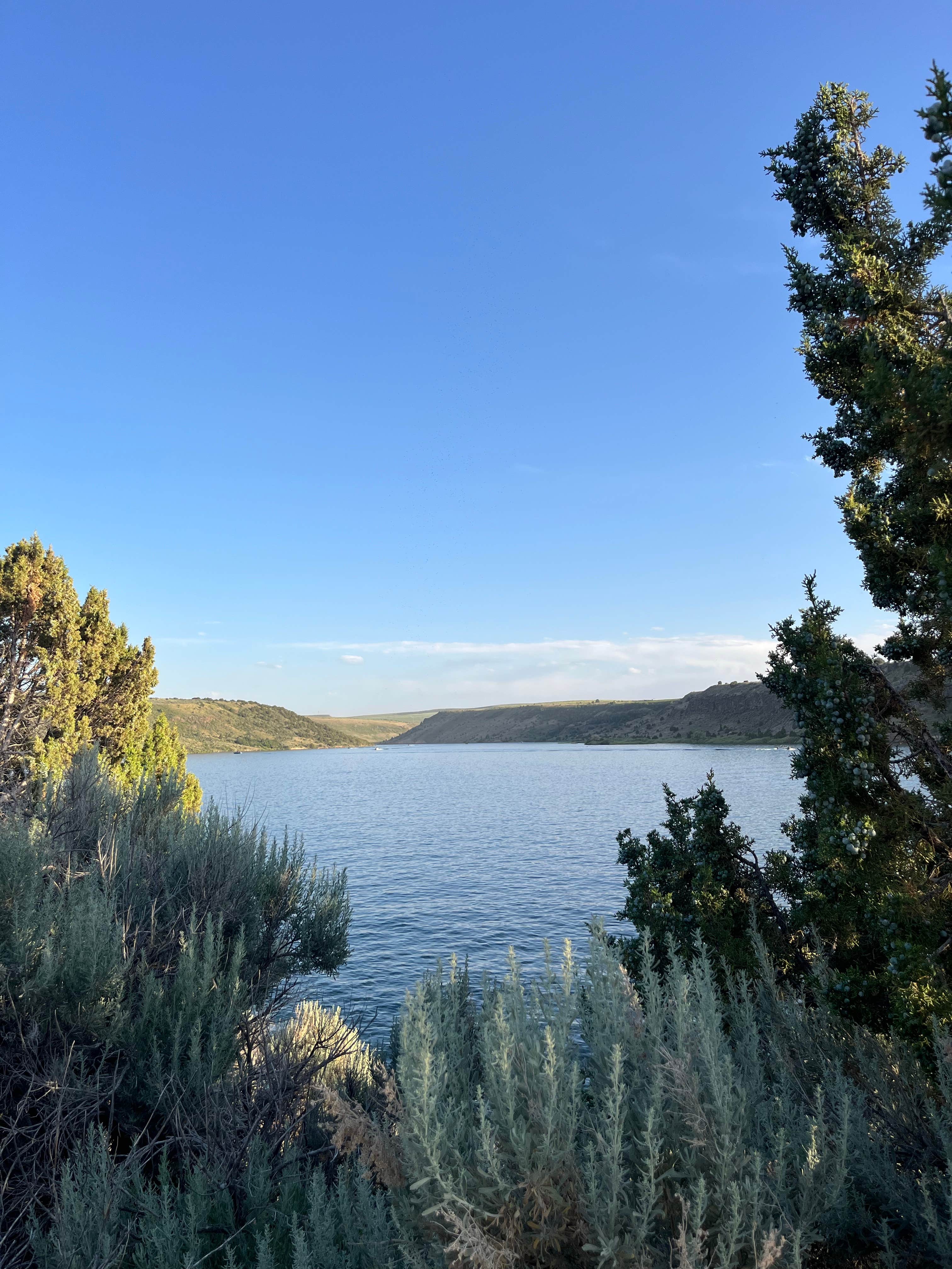 Camper-submitted photo at Juniper Group Campsite — City of Rocks National Reserve near Rigby, ID