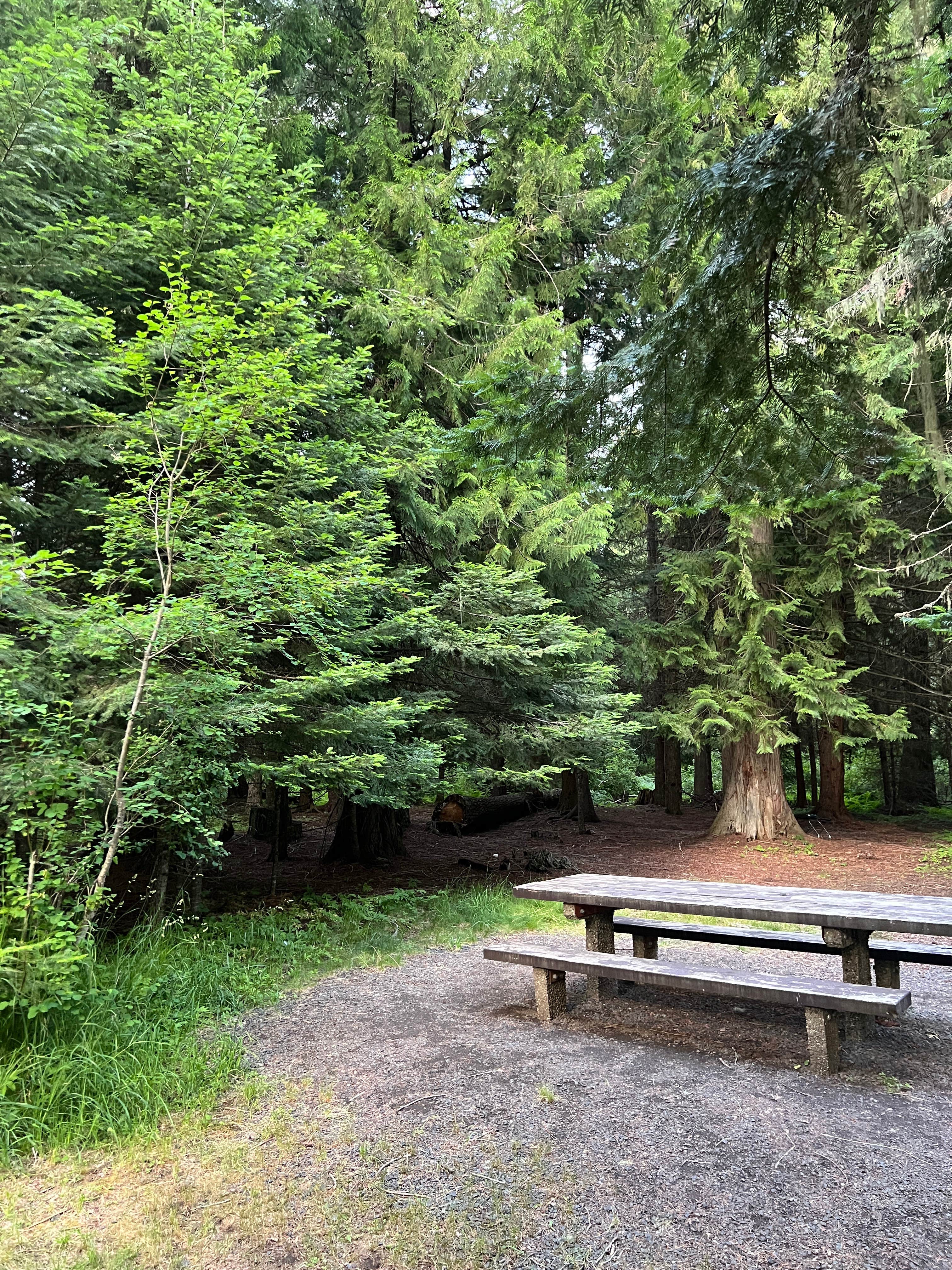 Camper-submitted photo at Laird Park Campground near Santa, ID