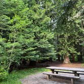 Review photo of Laird Park Campground by Amy W., July 1, 2026
