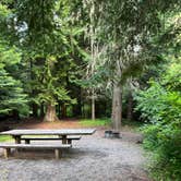 Review photo of Laird Park Campground by Amy W., July 1, 2026